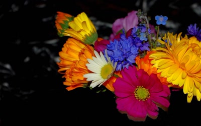 Œuvre de perreg: noir et couleurs