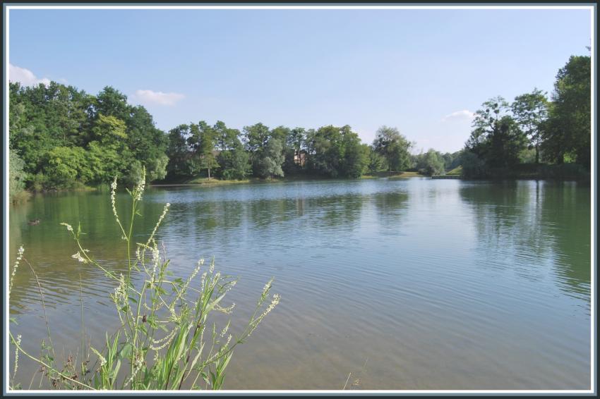 Promenade à l'Isle-Adam (95)