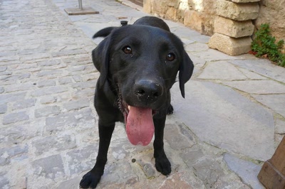 Résultat de recherche: Tu joues avec moi ?