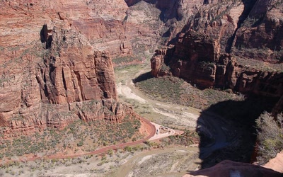 Œuvre de toe: petite fleur sauvage