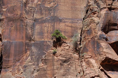 Résultat de recherche: Un jour je serais grand !!