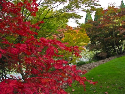 Œuvre de Alle: Couleurs d'Automne