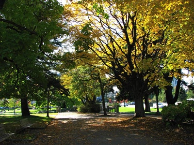 Œuvre de Alle: Couleurs d'Automne