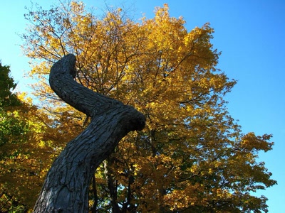 Œuvre de Alle: Couleurs d'Automne