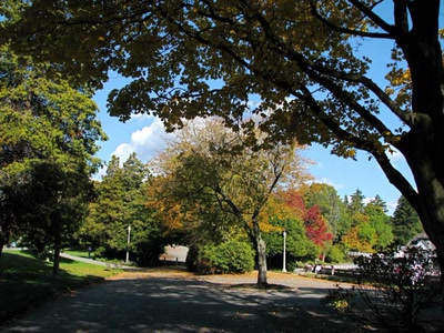 Œuvre de Alle: Couleurs d'Automne