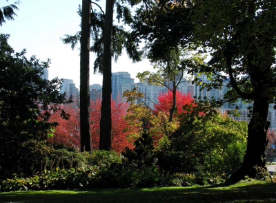 Œuvre de Alle: Couleurs d'Automne