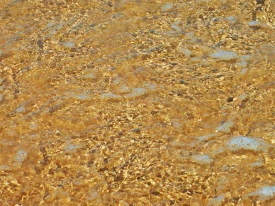 Résultat de recherche: reflets d'or