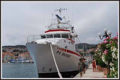 Résultat de recherche: Port-Vendres (66)