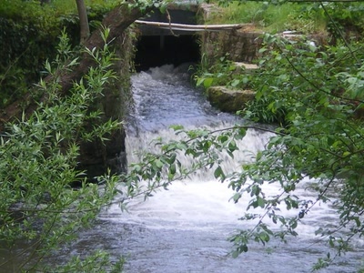 Ferme les yeux et écoute.