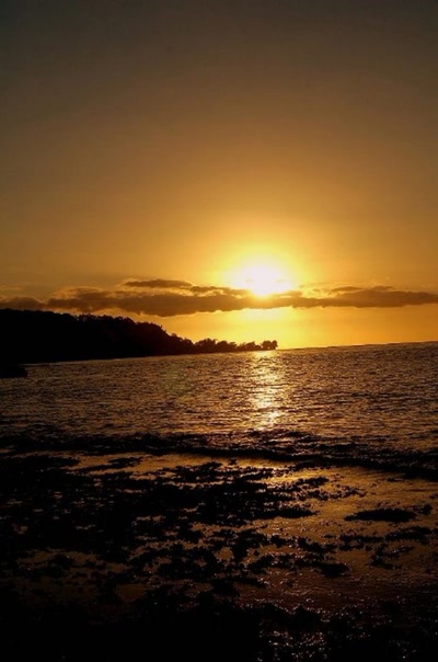 Résultat de recherche: couher de soleil