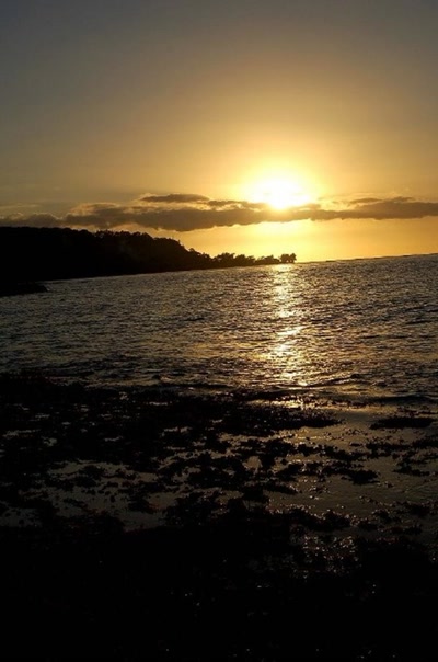 Résultat de recherche: couher de soleil