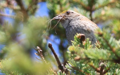 Résultat de recherche: Plein la gueule !