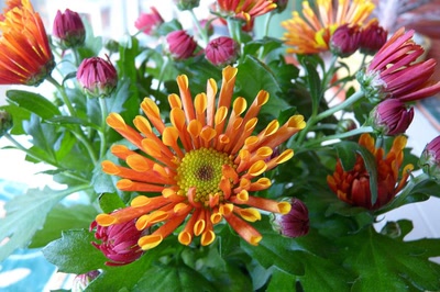 Œuvre de Ondine: De bons tuyaux