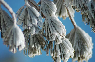 Résultat de recherche: ptite neige