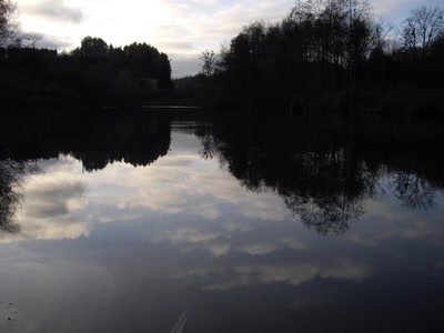 Résultat de recherche: Reflets