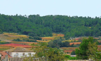 Résultat de recherche: Un coteau coloré