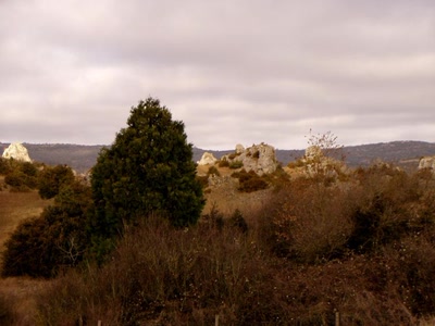 Résultat de recherche: nature les rives
