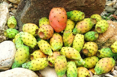 Résultat de recherche: Et une beaucoup plus modeste ...