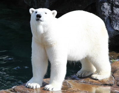 Aperçu de la galerie de Doc55