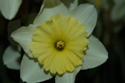 Œuvre de steftahiti: palette de couleurs