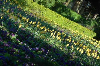 Œuvre de steftahiti: palette de couleurs