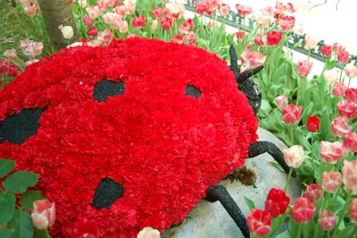 Œuvre de steftahiti: palette de couleurs