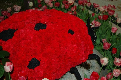 Œuvre de steftahiti: palette de couleurs