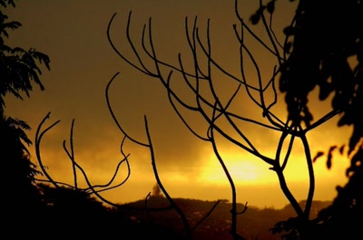 Résultat de recherche: douceur