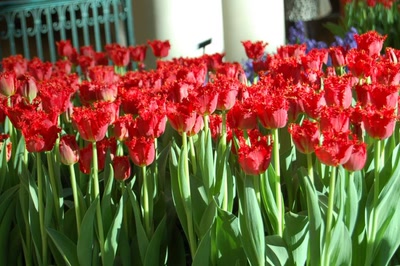 Œuvre de steftahiti: palette de couleurs