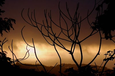 Résultat de recherche: douceur