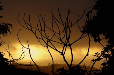 Résultat de recherche: douceur