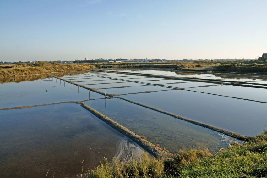 Les Salins de Guérande(44)