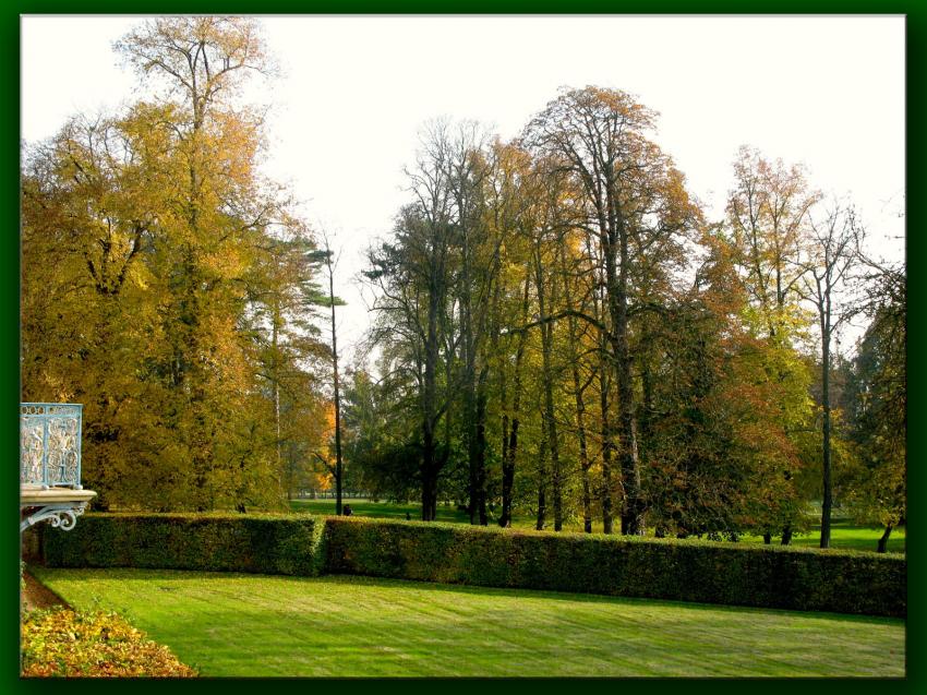 Automne à Versailles