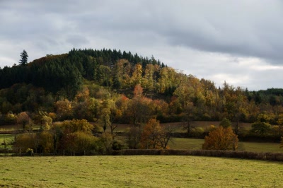 Résultat de recherche: Automnale dans le Charolais.