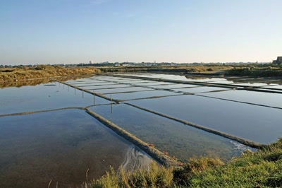 Résultat de recherche: Les Salins de Guérande(44)