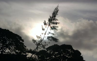 Résultat de recherche: contre jour