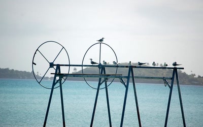 Résultat de recherche: Repos des sternes