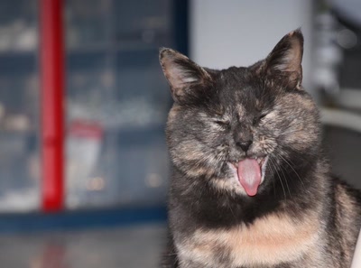 Œuvre de Doc55: Ma précieuse.