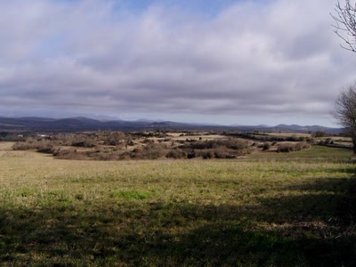 Résultat de recherche: nature