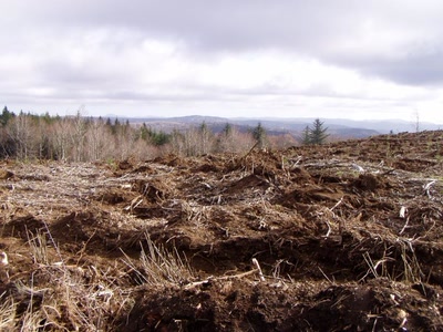 Résultat de recherche: champ