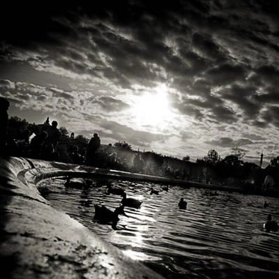 Résultat de recherche: noir et blanc