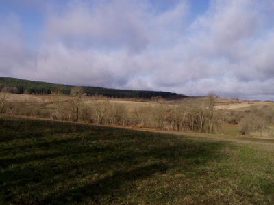 Résultat de recherche: nature