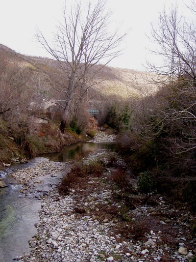 Résultat de recherche: riviere