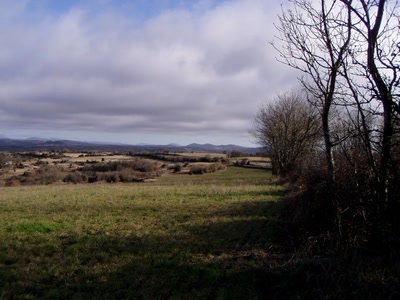 Résultat de recherche: nature