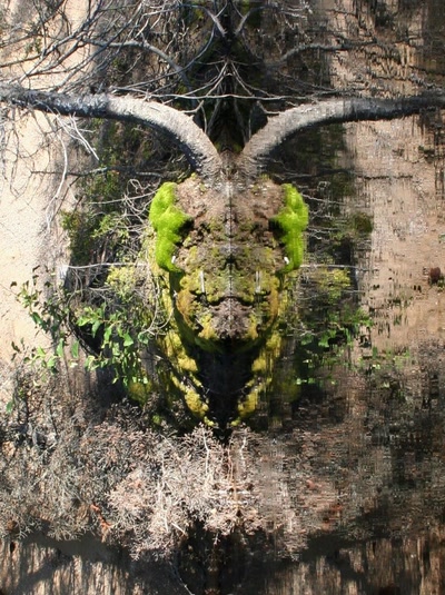 Œuvre de Doc55: Reflet diabolique.