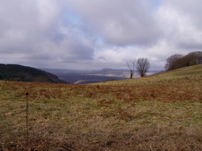 Résultat de recherche: nature