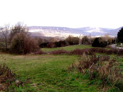 Résultat de recherche: nature