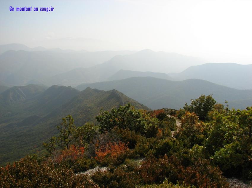 En montant au Cougoir