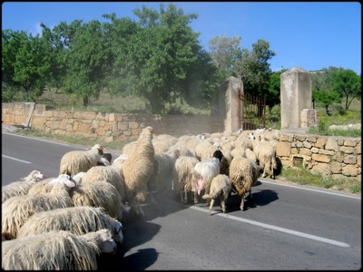 Œuvre de Claudius: Revenons à nos moutons...