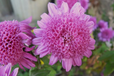 Œuvre de Ondine: Coeur complexe